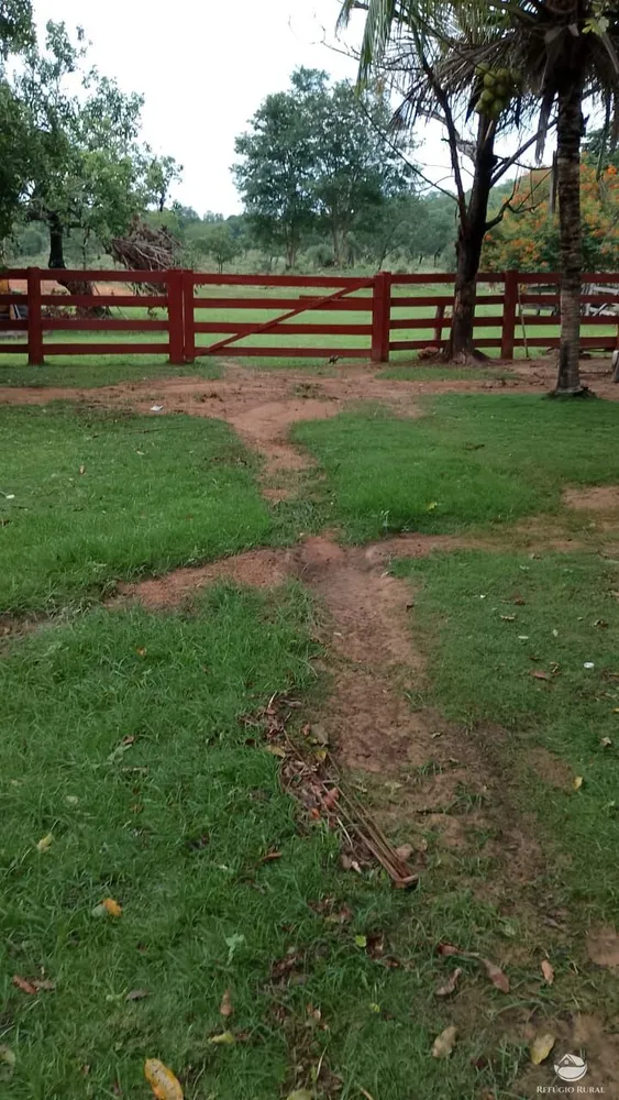 Fazenda, 271 hectares - Foto 6