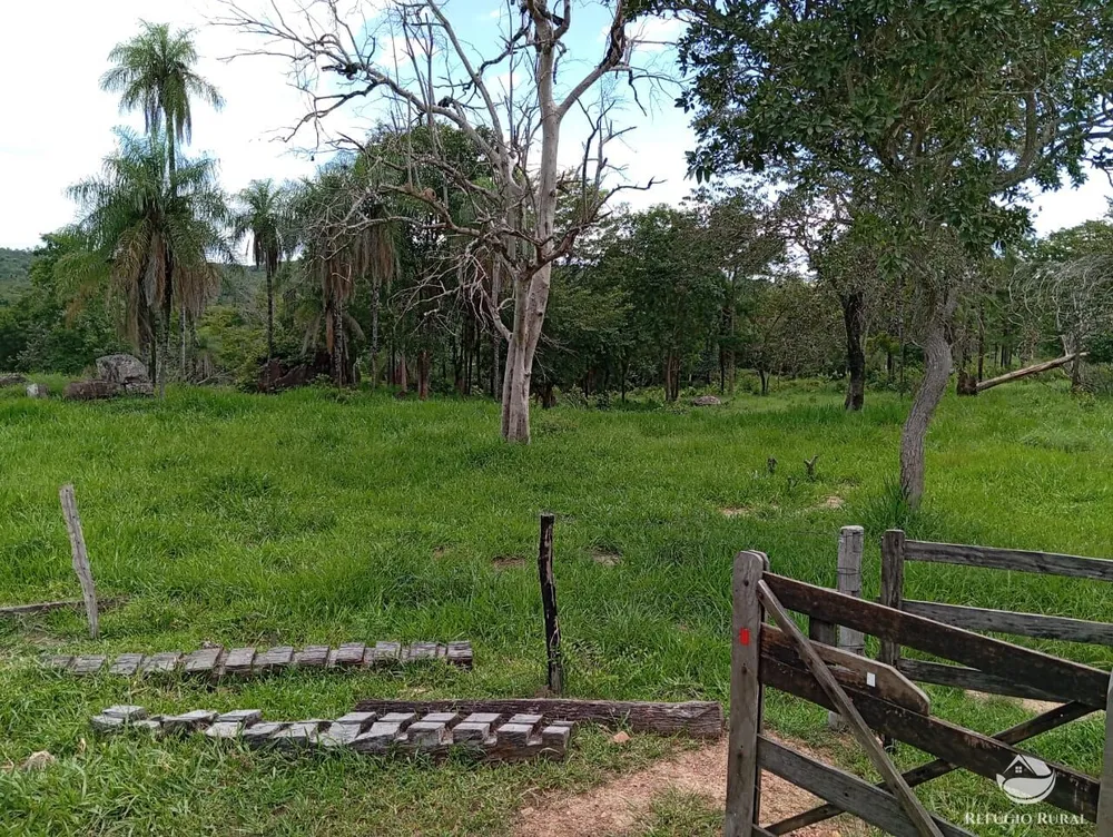 Fazenda, 271 hectares - Foto 2