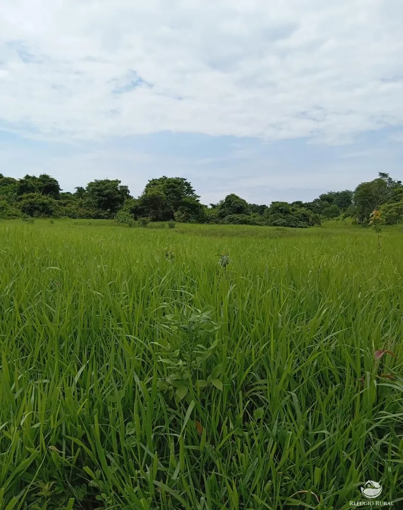 Fazenda, 271 hectares - Foto 1