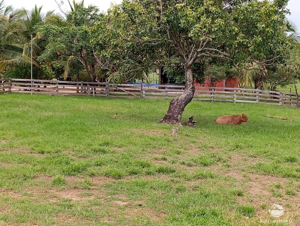 Fazenda, 271 hectares - Foto 4