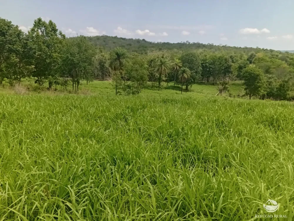 Fazenda, 271 hectares - Foto 7