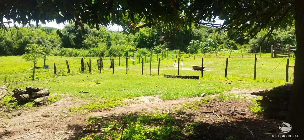 Chácara, 3500 m² - Foto 2