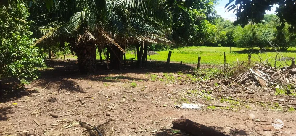 Chácara, 3500 m² - Foto 7