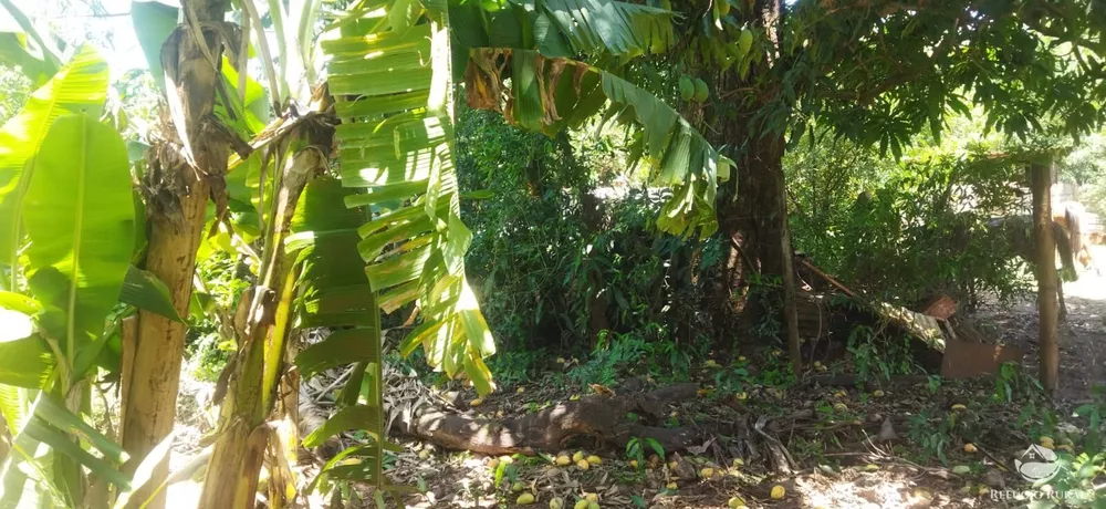 Chácara, 2 quartos, 3500 m² - Foto 6