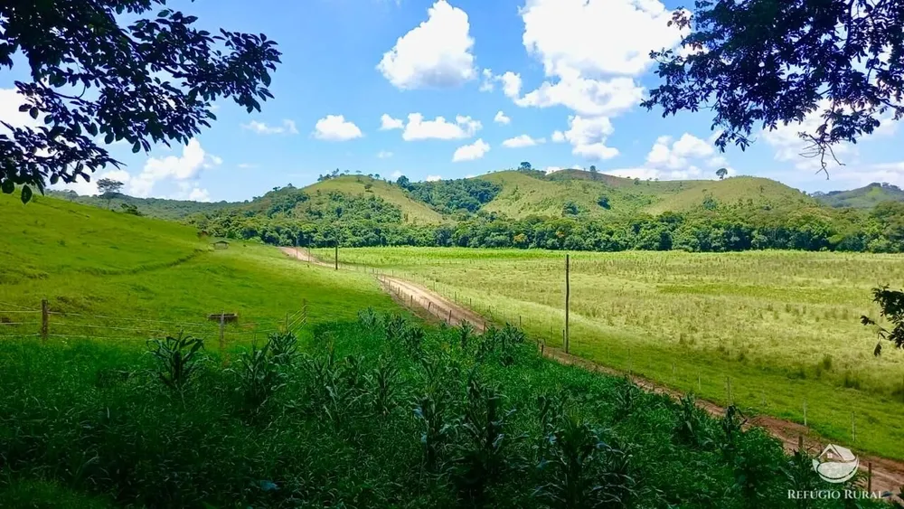 Fazenda, 443 hectares - Foto 1