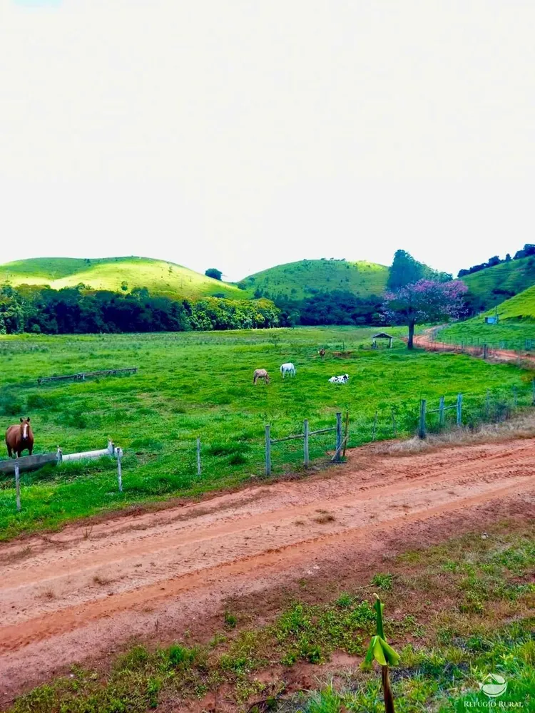 Fazenda, 443 hectares - Foto 3