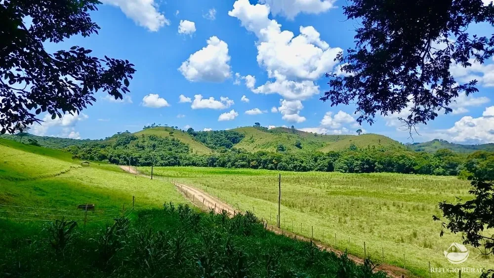 Fazenda, 443 hectares - Foto 2
