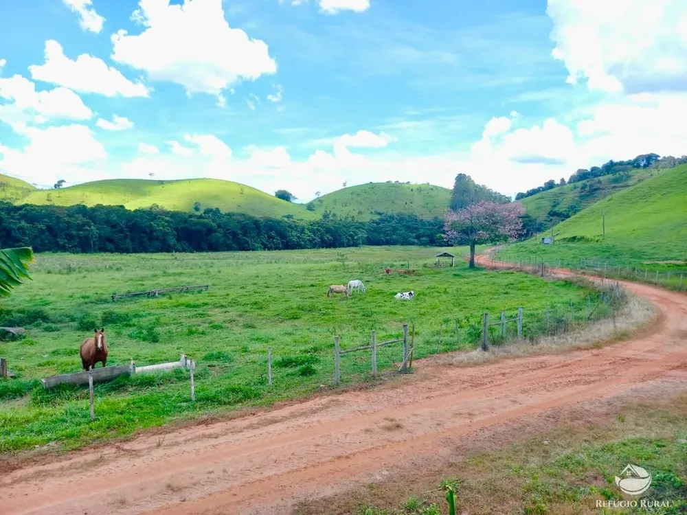 Fazenda, 443 hectares - Foto 4