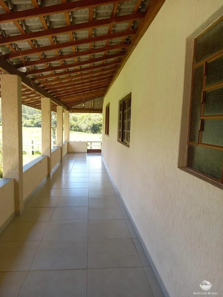 Fazenda, 443 hectares - Foto 7