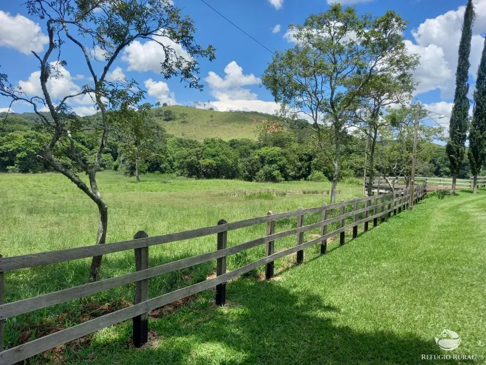 Fazenda, 443 hectares - Foto 6