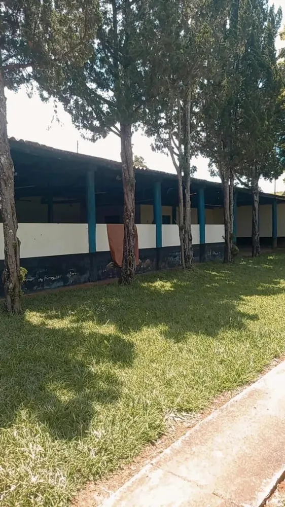 Fazenda, 443 hectares - Foto 12