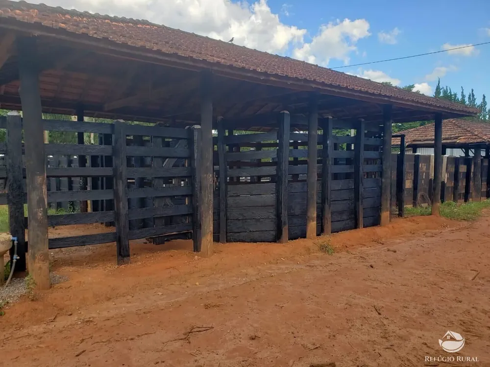 Fazenda, 443 hectares - Foto 10