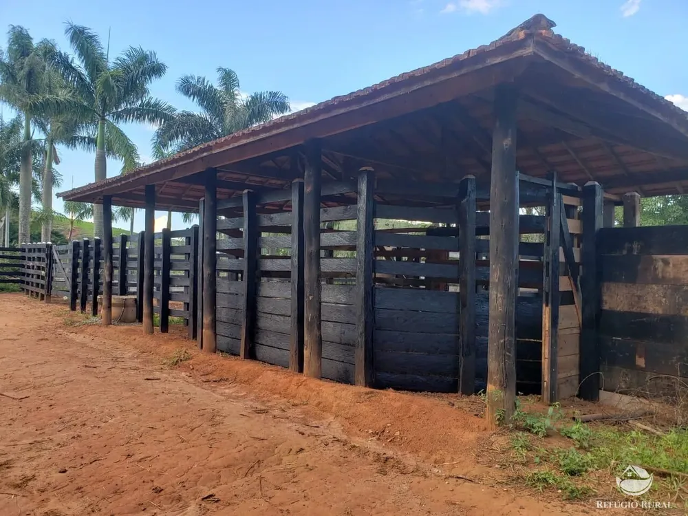 Fazenda, 443 hectares - Foto 9