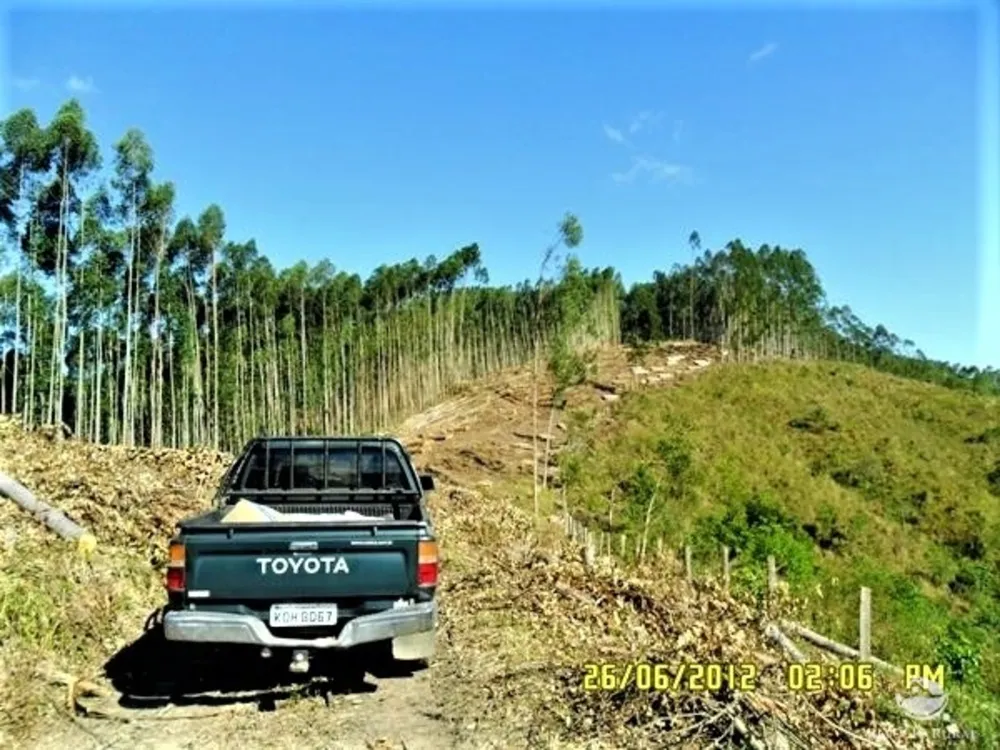 Fazenda, 88 hectares - Foto 9