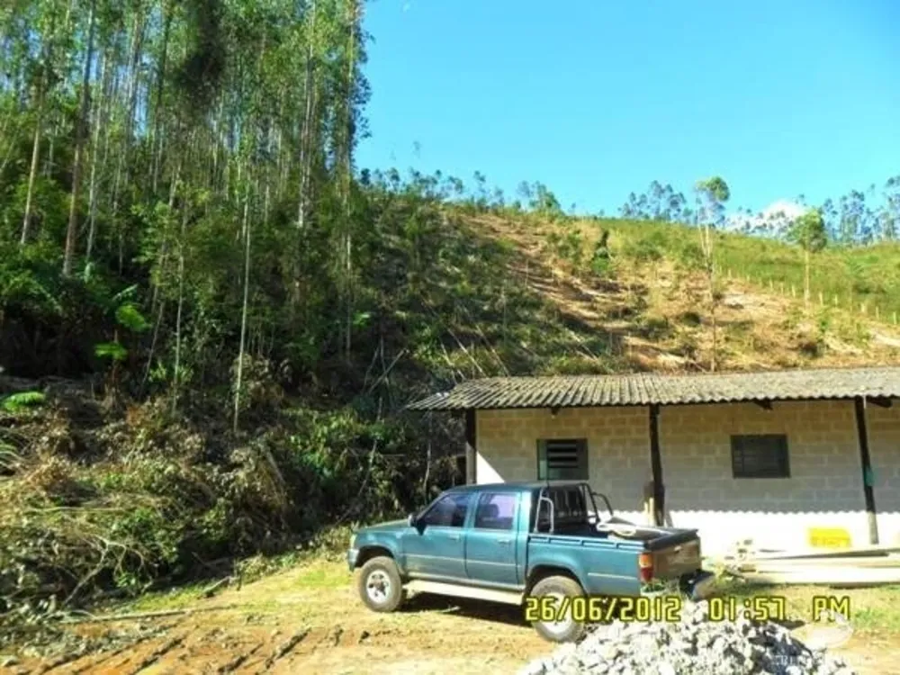 Fazenda, 88 hectares - Foto 14