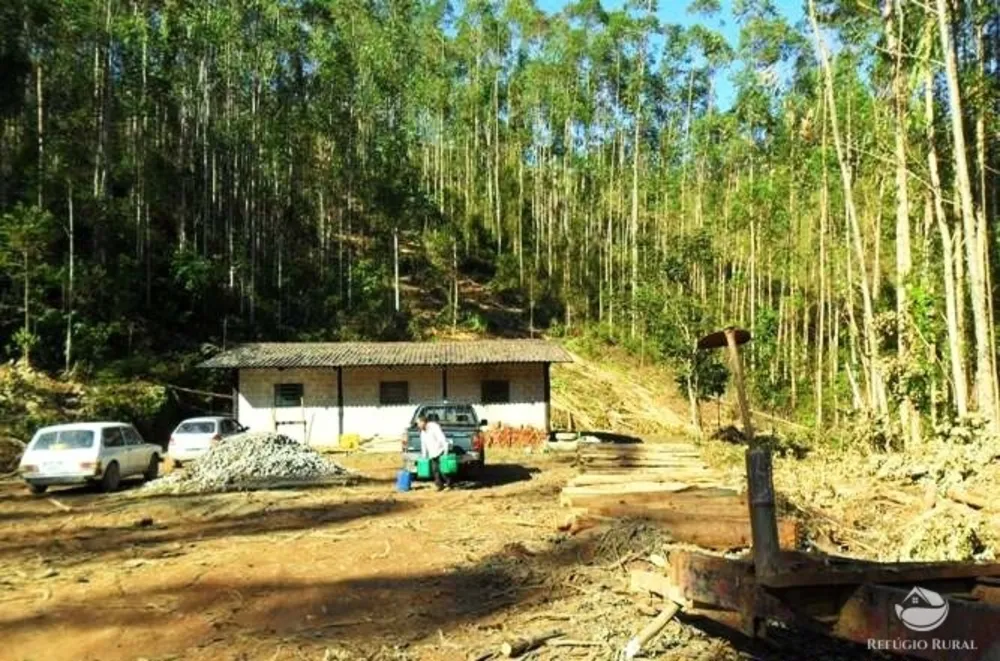 Fazenda, 88 hectares - Foto 8