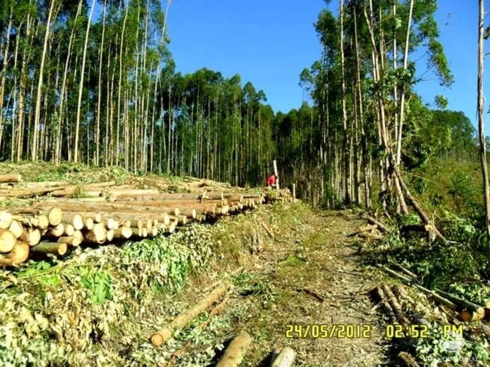 Fazenda, 88 hectares - Foto 16