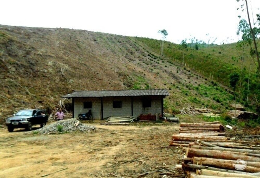 Fazenda, 88 hectares - Foto 4