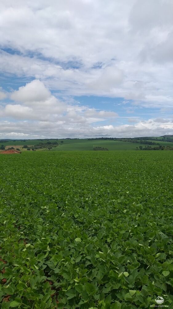 Fazenda à venda com 2 quartos, 19716400m² - Foto 7