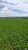 Fazenda-Sítio-Chácara, 1972 hectares - Foto 4