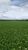 Fazenda-Sítio-Chácara, 1972 hectares - Foto 6