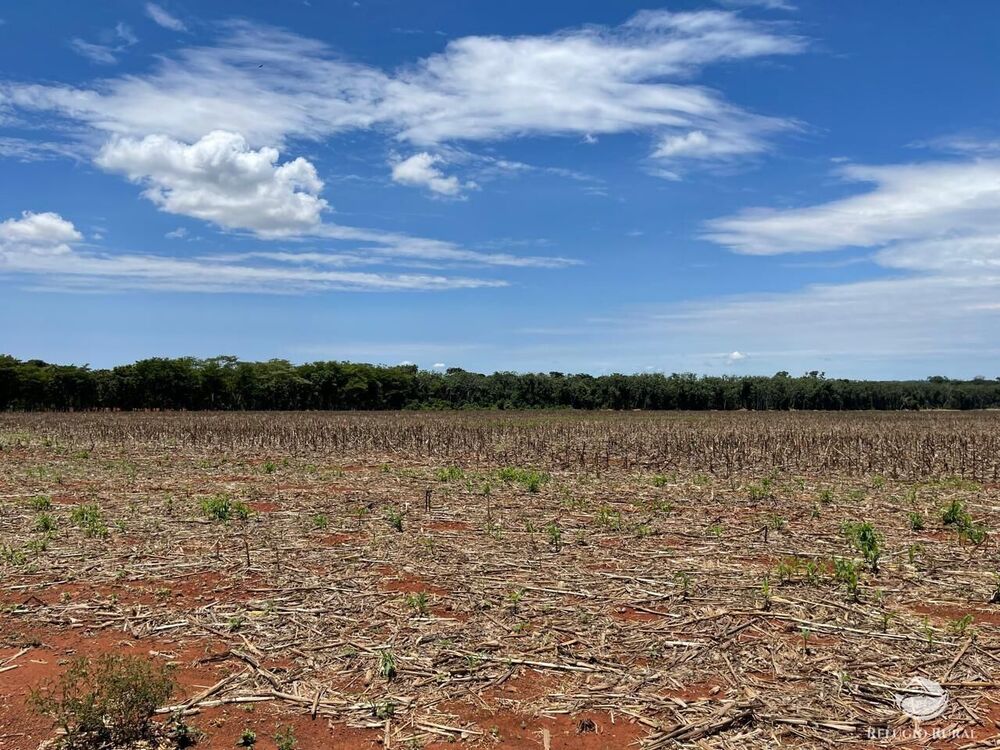 Fazenda-Sítio-Chácara, 3840 hectares - Foto 3