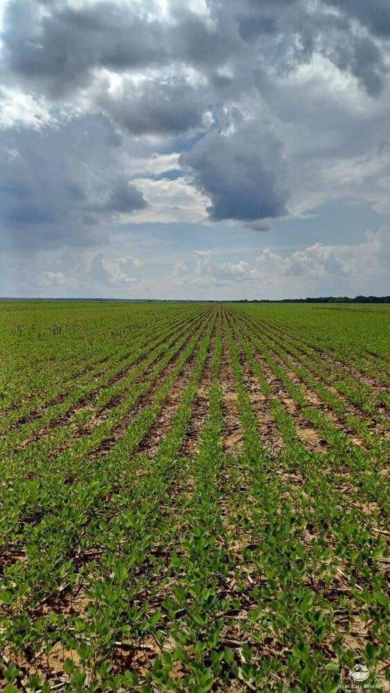 Fazenda-Sítio-Chácara, 3840 hectares - Foto 1