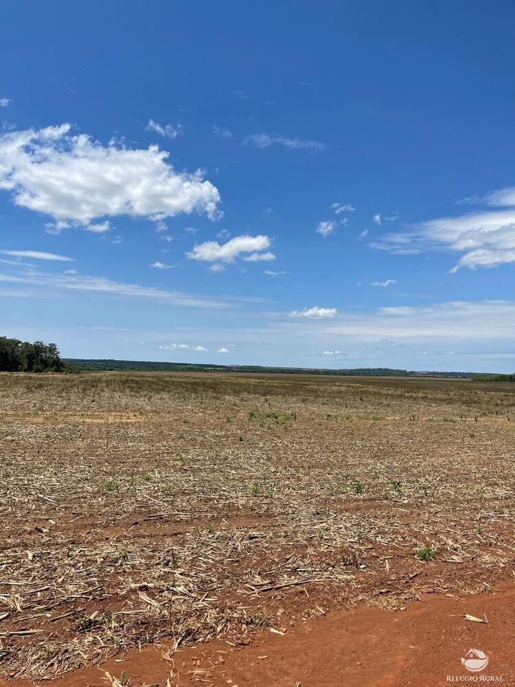 Fazenda-Sítio-Chácara, 3840 hectares - Foto 8