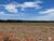 Fazenda, 3840 hectares - Foto 3