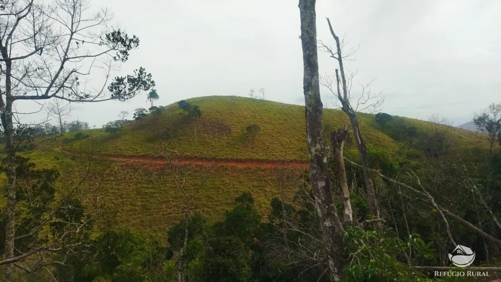 Terreno, 5 hectares - Foto 1