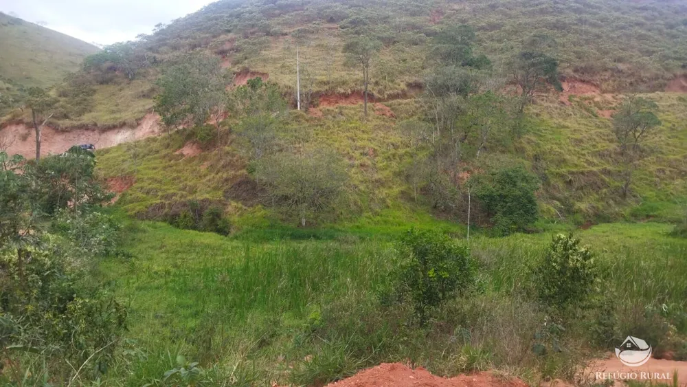 Terreno, 5 hectares - Foto 12