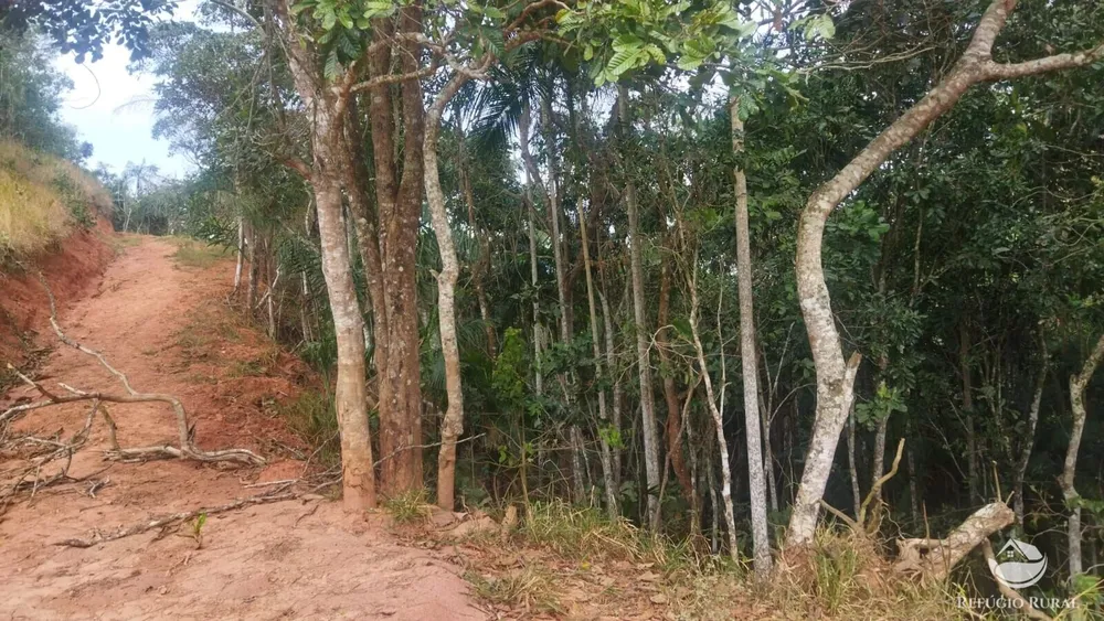 Terreno, 5 hectares - Foto 3