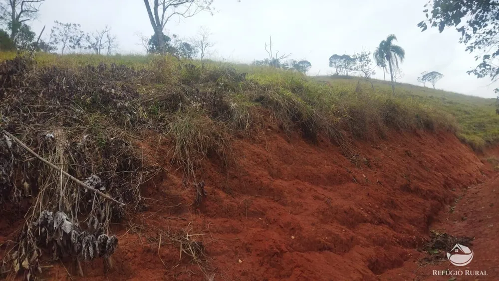Terreno, 5 hectares - Foto 4