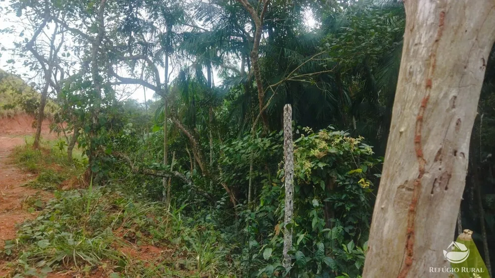 Terreno, 5 hectares - Foto 6