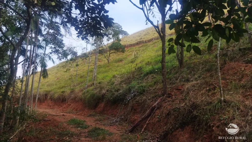 Terreno, 5 hectares - Foto 4