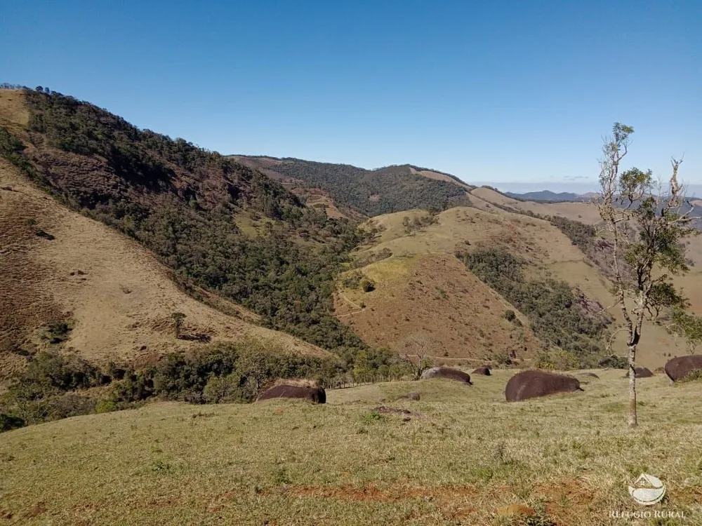 Chácara, 3 hectares - Foto 12