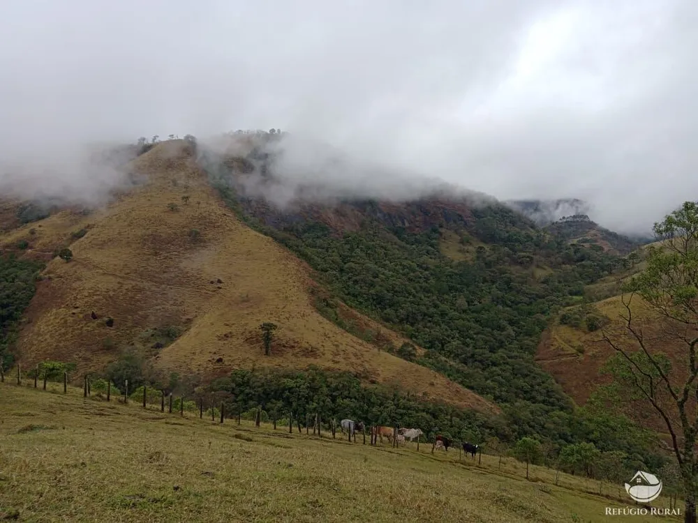 Chácara, 3 hectares - Foto 13