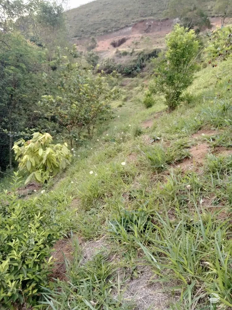 Chácara, 3 hectares - Foto 8