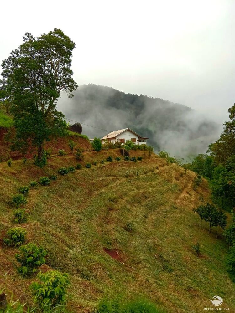 Chácara à venda com 3 quartos, 30000m² - Foto 1