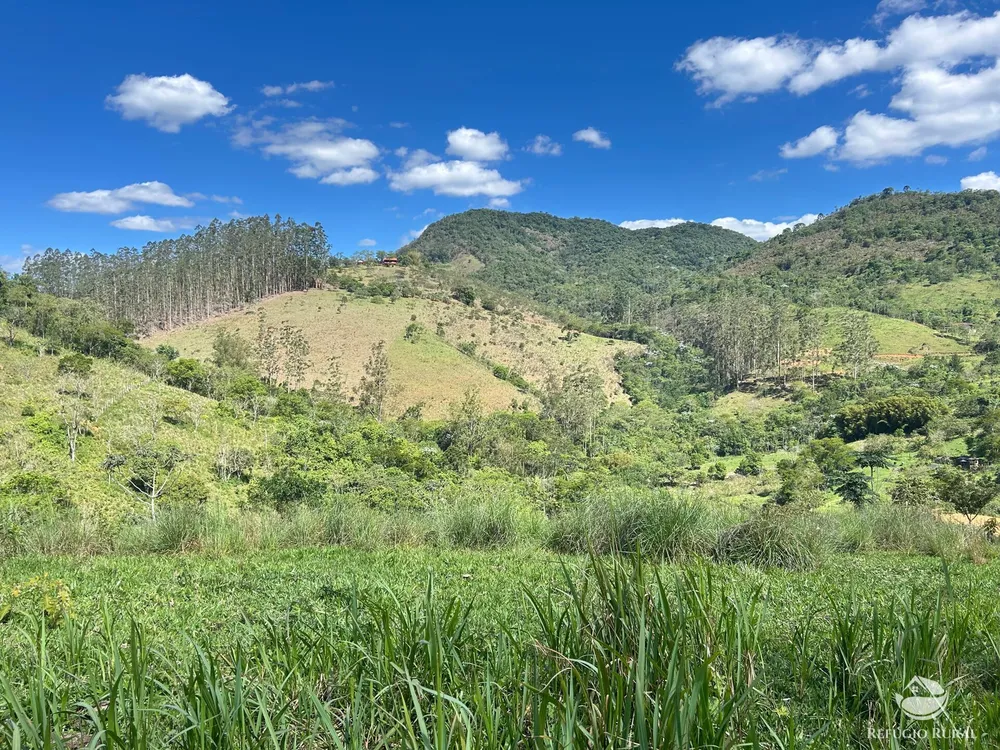 Terreno, 7 hectares - Foto 6