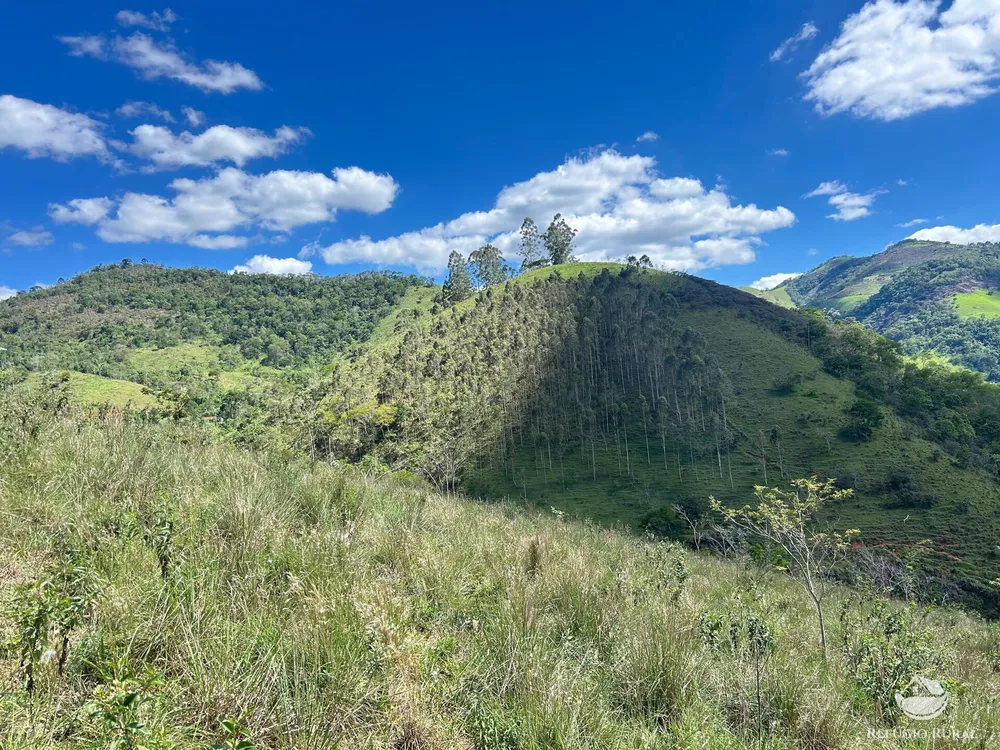 Terreno, 7 hectares - Foto 3