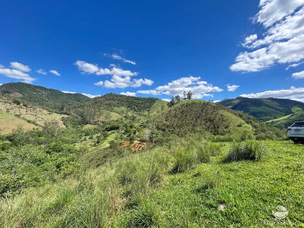 Terreno, 7 hectares - Foto 14