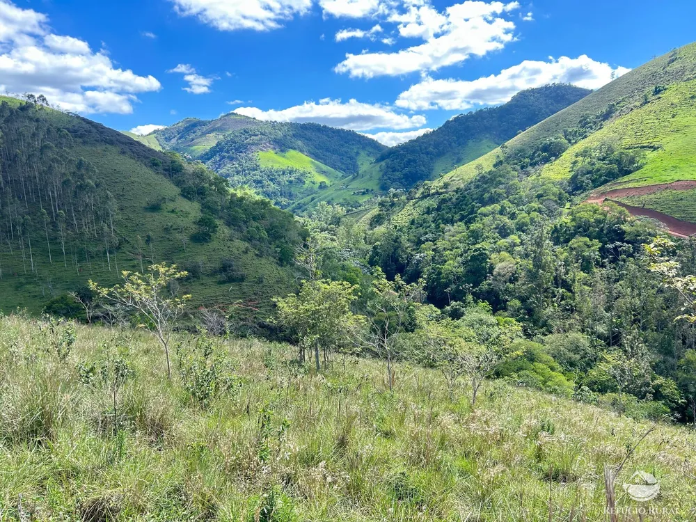 Terreno, 7 hectares - Foto 11