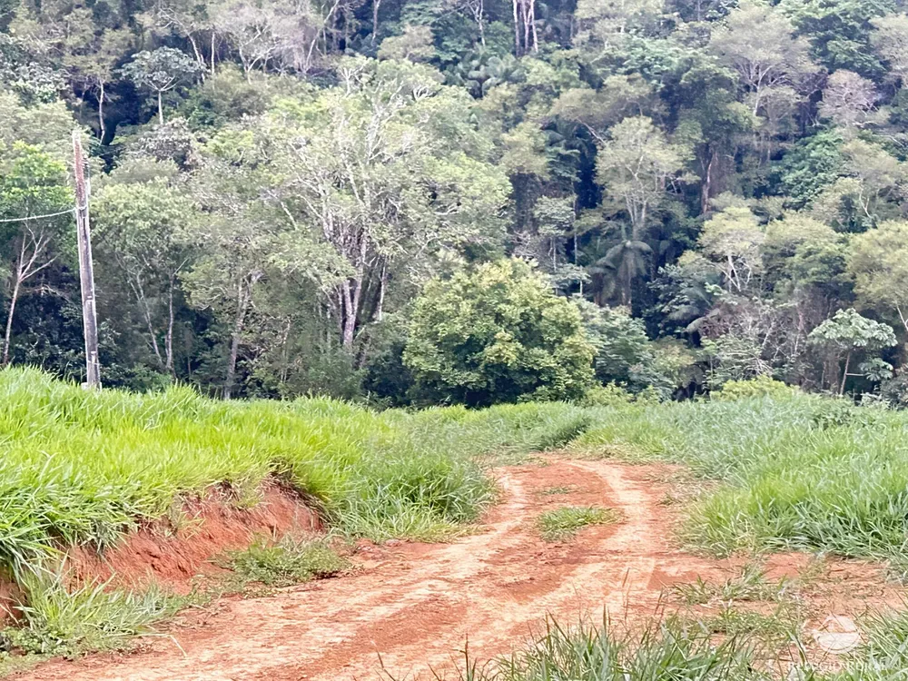 Terreno, 2 hectares - Foto 4