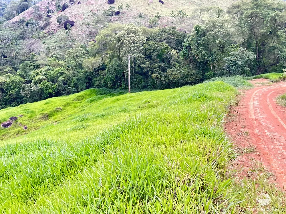 Terreno, 2 hectares - Foto 6