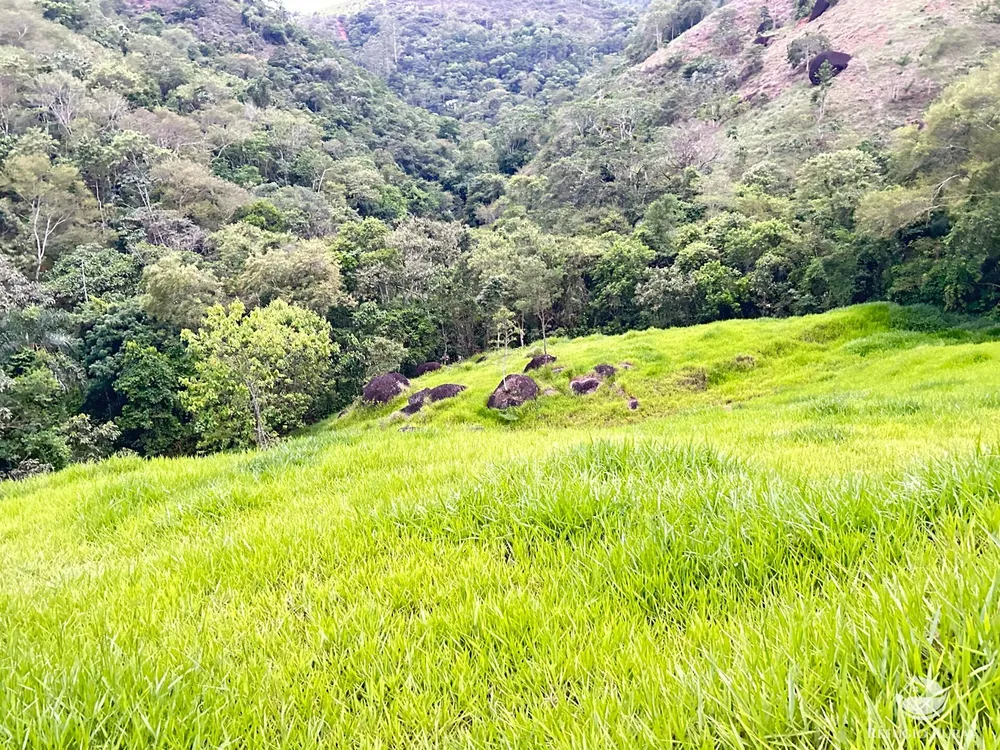 Terreno, 2 hectares - Foto 10