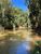 Terreno, 2 hectares - Foto 1