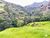 Terreno, 2 hectares - Foto 2