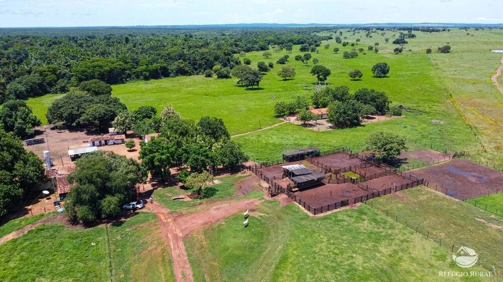 Fazenda-Sítio-Chácara, 2938 hectares - Foto 1