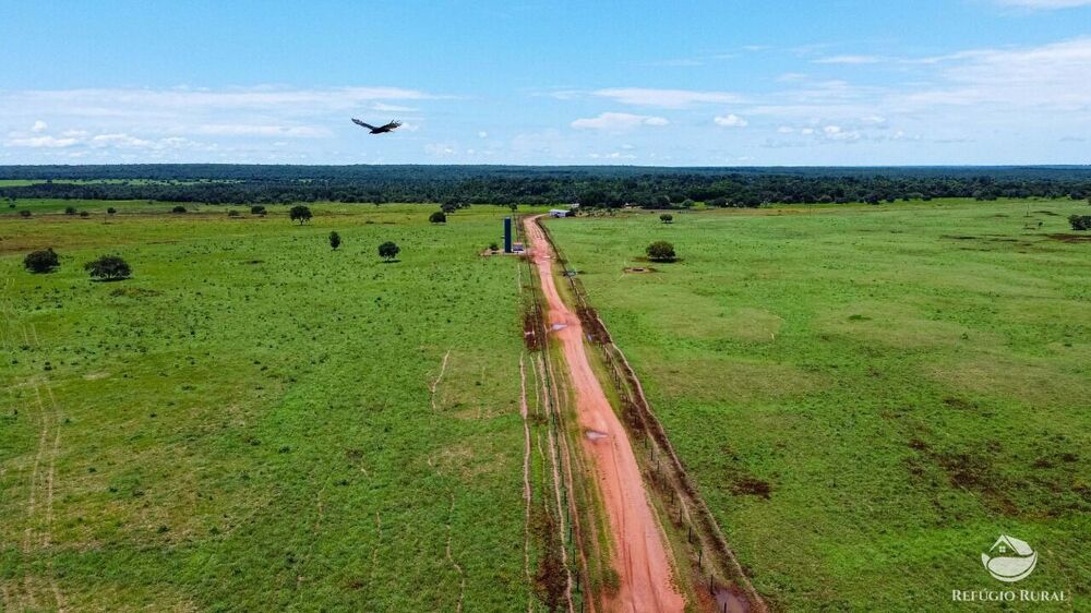 Fazenda-Sítio-Chácara, 2938 hectares - Foto 3